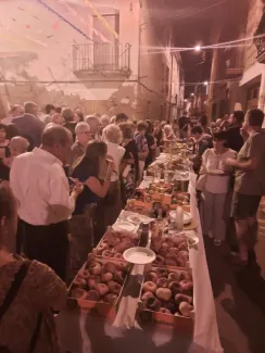 El Cor Euridice ret homenatge a Hildegard von Bingen davant més de 120 persones a Massalcoreig