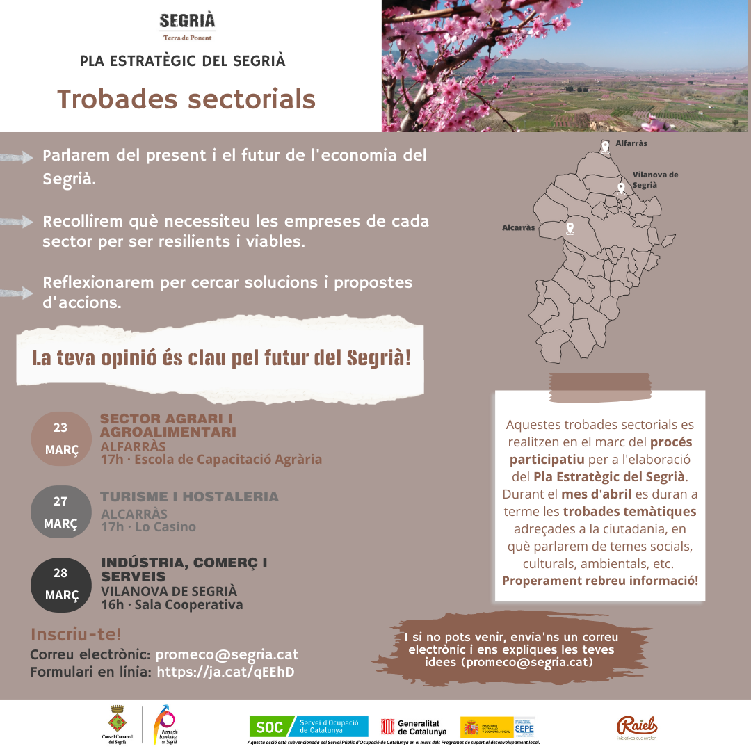 Pla estratègic del Segrià