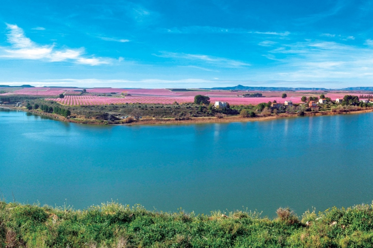 Floració a peu per Utxesa