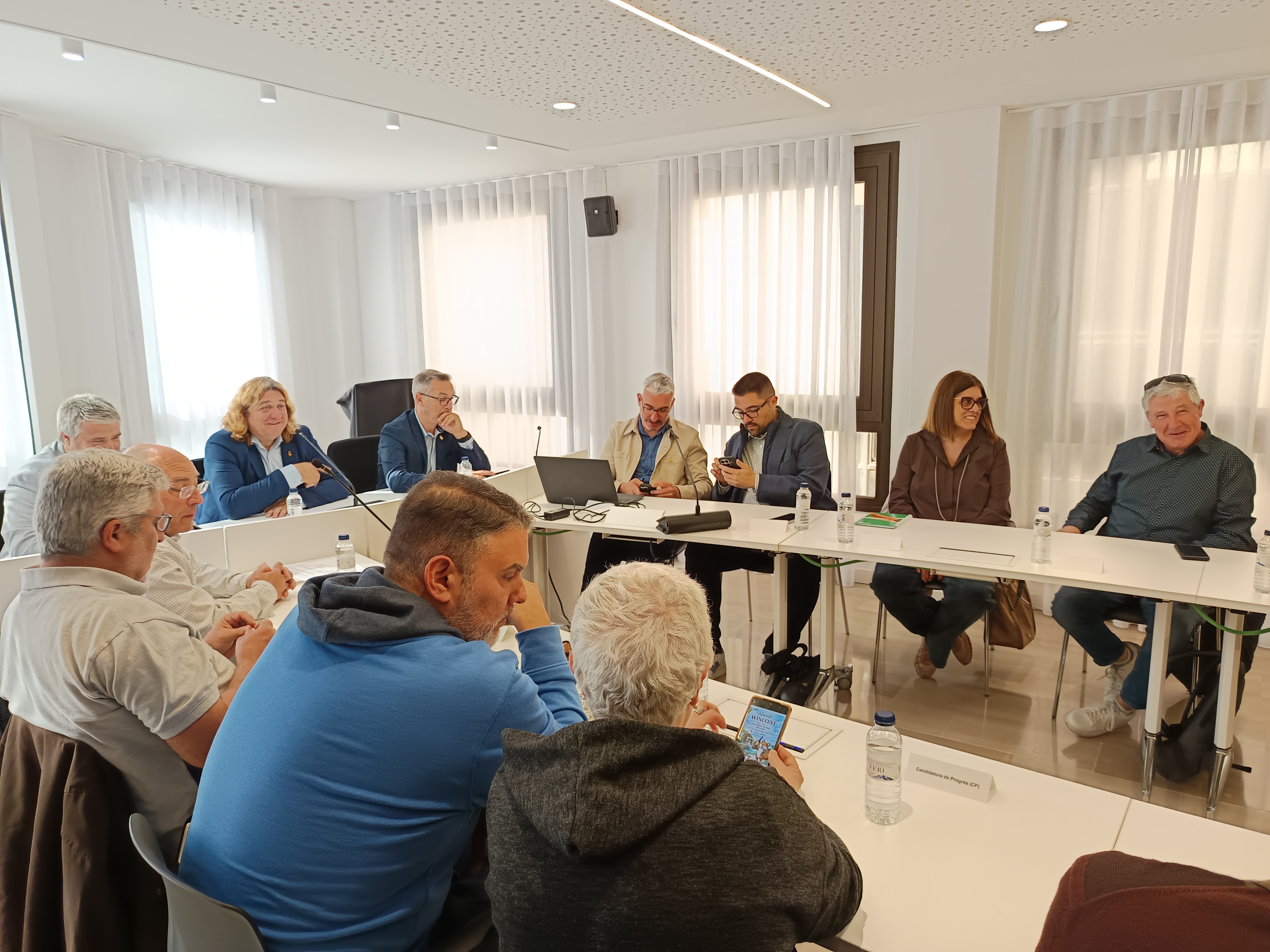 Ple del Consell del 15 d'abril de 2026