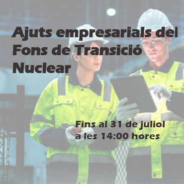 Ajuts empresarials del Fons de Transició Nuclear