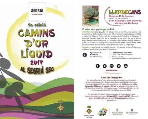 6a edició Camins d'or líquid al Segrià Sec - Llardecans