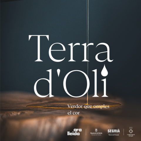 Terra d'oli - programa general