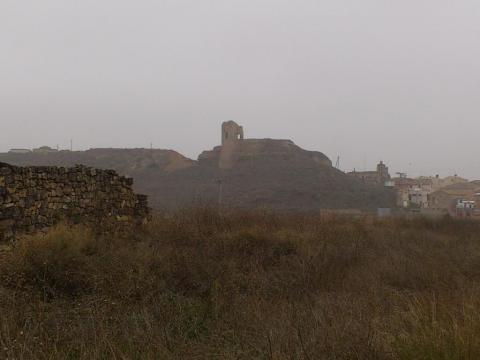 Camins d'or líquid al Segrià Sec - Sarroca de Lleida