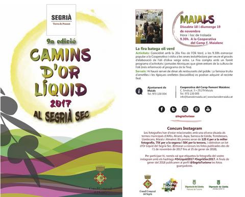 Camins d'or líquid - Maials