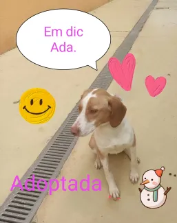 Ja tinc una nova llar.