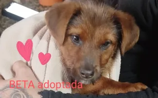 Ja tinc una nova llar.