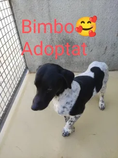 Ja tinc una nova llar.