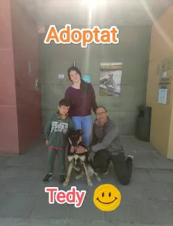 Ja tinc una nova llar.