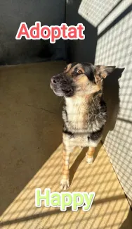 Ja tinc una nova llar.