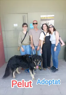 Ja tinc una nova llar.