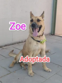 Ja tinc una nova llar.