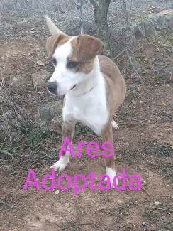 Ares