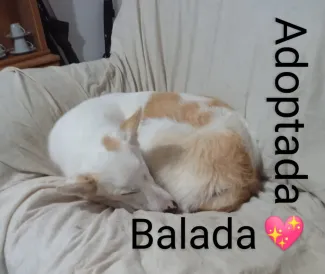 Balada