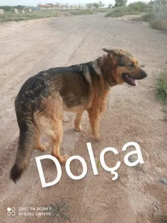Dolça