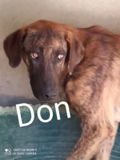 Don