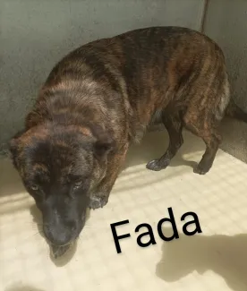 Fada