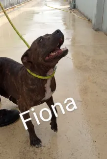 Fiona
