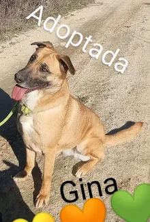 Gina