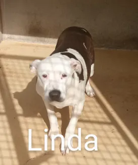 Linda