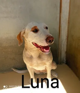 Luna