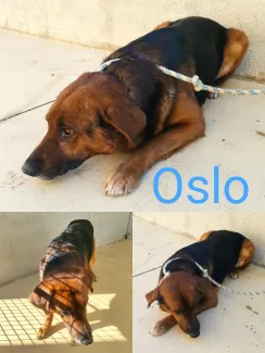 Oslo