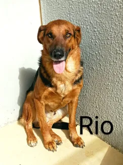 Rio