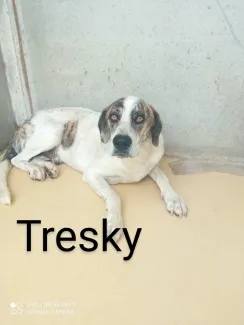 Tresky
