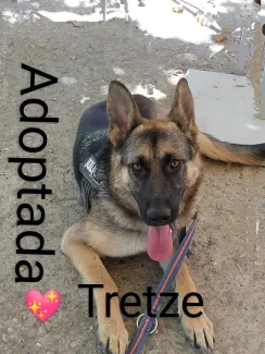 Tretze