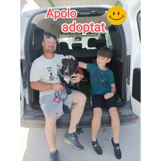 Ja tinc una nova llar.