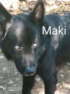 Maki