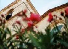 Església Parroquial de Sant Salvador