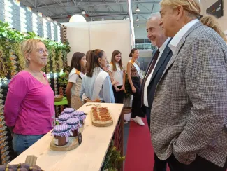 Fira de la figa Alguaire