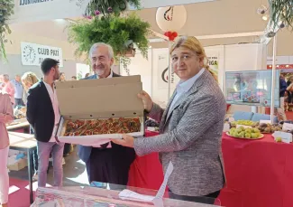 Fira de la figa Alguaire