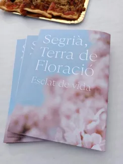 Fulletó editat per enguany