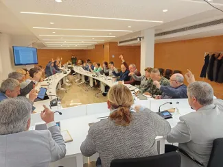 Votació del Ple del Consell