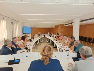 El Ple del Consell, avui