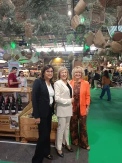 Celebrem el Dia de la Comarca a la Fira MOS - Fira de Sant Miquel