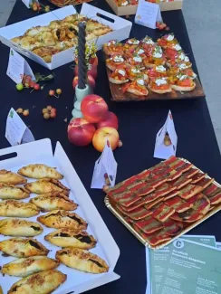 Ple absolut amb Júlia Cruz a l’església de Santa Maria de Vilanova de la Barca