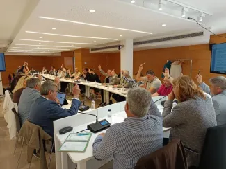 El ple del Consell, avui