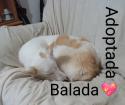 Balada