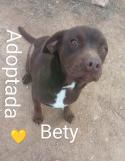 Bety