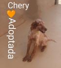 Chery