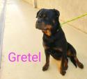 Gretel