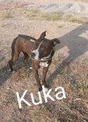 Kuka