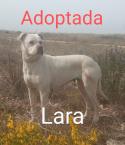 Lara