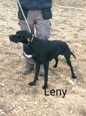 Leny