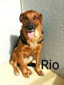 Rio