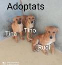 Tina, Tino i Rudi