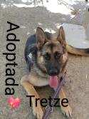 Tretze